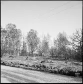 Fornlämning på Prästgården i Västra Tunhem.