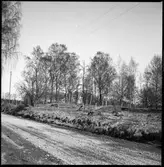 Fornlämning på Prästgården i Västra Tunhem.