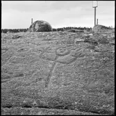 Hällristning  Evenstorp