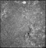 Sundals-Ryr, Evenstorp. Hällristning.