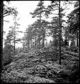 Håbol. Vänge fornborg.