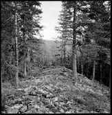 Håbol. Vänge fornborg.