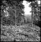 Håbol. Vänge fornborg.