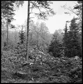 Håbol. Vänge fornborg.