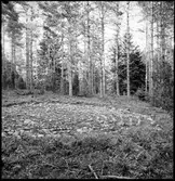 Vårgårda, Ornunga. Labyrint.