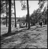 Fornlämning, Brätte.