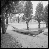 Vänersborgs museum. Flodbåt.