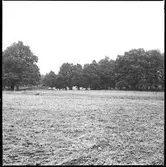 Prästgården Västra Tunhem