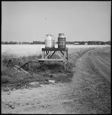 Mjölkbord med mjölkkannor på.