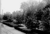 Oskarsparken från Trädgårdsgatan sett. I bakgrunden syns Risbergska skolan.

Beställare: Larsson och Stenberg, Örebro.