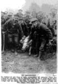 Krigsbild, tyska marinsoldater med en tillfångatagen gris på väg till slaktaren.