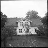 Hästevadet