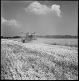 Bolstad. Skördetröska Quantenburg.