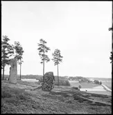 Ödeborg. Fornlämning, Håvesten