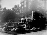 Centralparken med statyn 