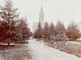 Olaus Petrikyrkan och Sofiaparken.