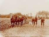 Vårbruk, två hästar spända för plog, en man med häst och hund.
Emanuel Axelsson