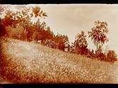 Sommarstugan Fridensborg, envånings stuga med inredd vind och veranda.
Fotograf Samuel Lindskog