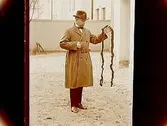 En man.
Herr Ashlön
Jordbrukskonsulent H. Flodkvist, Örebro.