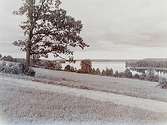 Sjön Tolken.
Nr:87.
Västergötland