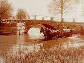 Landsvägsbron vid Täby kyrka över Täljeån.
Två hästar spända för vagn med en vattentunna som fylles med vatten i ån, två män.
Beställningsnr: TÄ-930.
