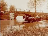 Landsvägsbron vid Täby kyrka över Täljeån.
Två hästar spända för vagn med en vattentunna som fylles med vatten i ån, två män.
Beställningsnr: TÄ-930.