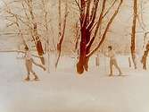 Väståparken, vinterbild, två skidlöpare.