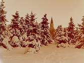 Olaus Petrikyrkan. Vinterbild med snötyngda granar.
Bilden är tagen från öster med Sofiaparken.