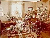 Rumsinteriör, en kvinna.Fru Gottfrid Erikssons 50 årsdag.