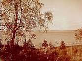 Sjön Vikern mot Gyttorp.Beställningsnr: VR-535.