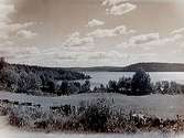 Utsikt, Rådasjön strax sydost om Göteborg.Nr: 83.
