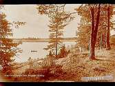 Utsikt över sjön Lången från sommarvillan Bergabo.
Beställt till vykort.
Ögonläkare Fritz Geffcken, Drottninggatan 36, Örebro.