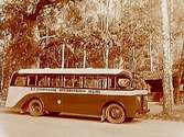 Buss.Bussägare Oskar Johansson