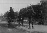 Postförare.
Från slutet av 1880 talet till 1911 körde den gamle postföraren Anders August Pettersson posten från Örebro genom de norra Hjälmarsocknarna till Arboga samt återvände med post därifrån.