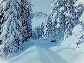 Vintermotiv, vinterväg mot Getdalen från Skogartorp.
Beställningsnr: KL-339.