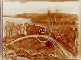Oljemålning. Motiv: Landskap med ett hus, av konstnären Martin Åberg, 1929.
Grosshandlare Albin Rapp