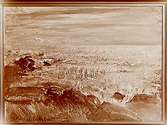 Oljemålning. Motiv: Landskap, av konstnären Martin Åberg, 1935.
Grosshandlare Albin Rapp