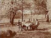 Fem personer sittande på trädgårdsmöbler.
Harry Zander