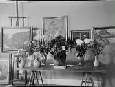 Ateljéinteriör, med oljemålningar.
Reklamtecknare J. Kessler.