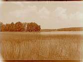Utsikt över Hällebosjön mot Tjärudden.Beställningsnr: SK-341.