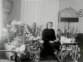 Fru Anna Johanssons 50 årsdag.Rumsinteriör, en kvinna.