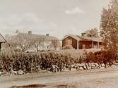 Tvåvånings bostadshus.
Timanshyttegård.
Godsägare H.Larsson.