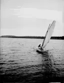 Segling, segelbåten 