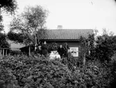 Bostadshus, familjegrupp 4 personer framför huset.
Aug. Johansson
Sam Lindskogs fru Huldas mor, far och två bröder:
August Johansson, född 1847-07-10 i Almby
Hulda Sofia Larsdotter, född 1862-01-12 i Axberg
Elis Leonard Johansson, född 1888-03-26 i Almby
Sigurd Emanuel Johansson, född 1891-12-31 i Almby