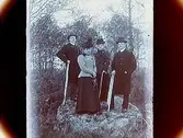 Två par.Herr Trygg