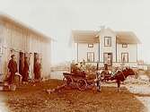 En och en halvvånings bostadshus med frontespis, ett uthus. Ko spänd för vagn med tre barn i, 6 personer som tittar på.L. Lindberg
