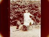 Två barn, en av dem i barnvagn och en hund.Folke Levin, Trädgårdsgatan 1, Örebro.