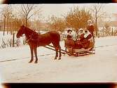 Häst spänd för släde med fyra personer i.
A. Johansson