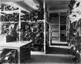 Nya Skofabriks AB Örnen, interiör från skinnlagret.