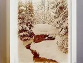 Vintermotiv.